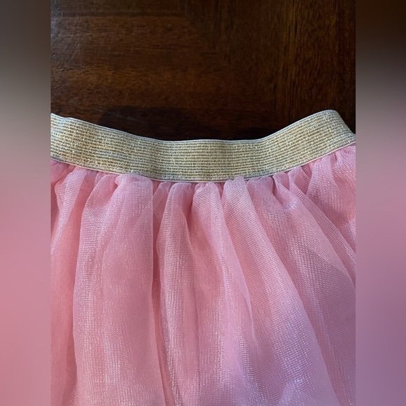Disney Princess | Pink Tulle Skirt with Gold Waistband | baby 18 mo - Picture 3 of 5